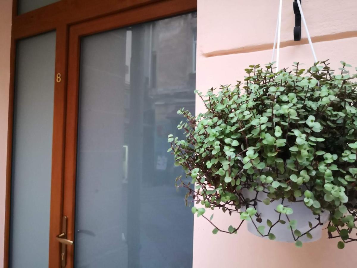 Затишні Апартаменти, Вулиця Дерибасівська, 13 Odessa Eksteriør billede