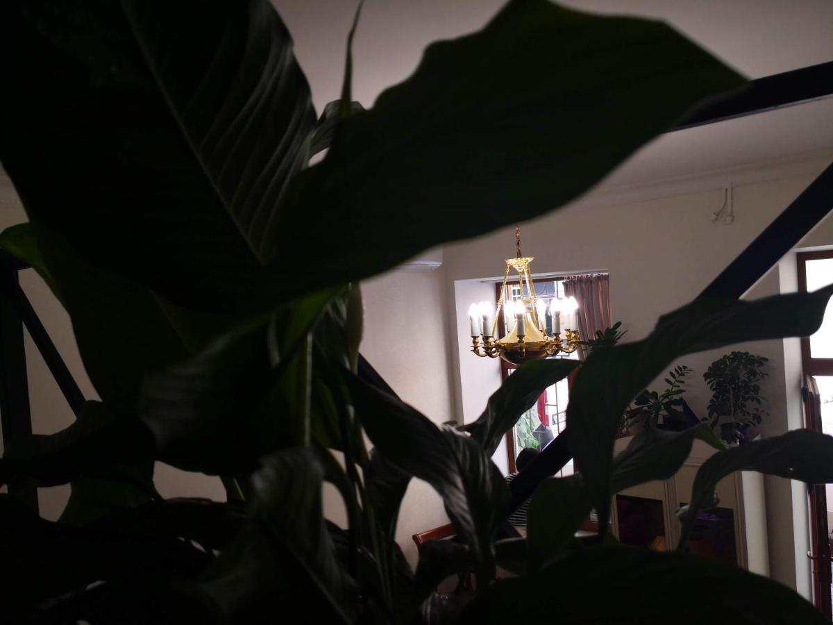 Затишні Апартаменти, Вулиця Дерибасівська, 13 Odessa Eksteriør billede